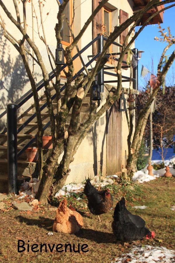 Belladone Guest House Theys Les 7 Laux Exterior photo